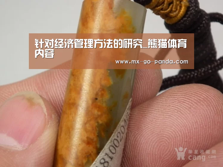 针对经济管理方法的研究_熊猫体育内容