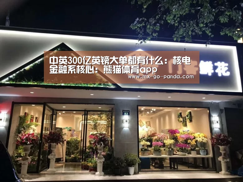 中英300亿英镑大单都有什么:核电金融系核心:熊猫体育app(图2) 熊猫体育内容