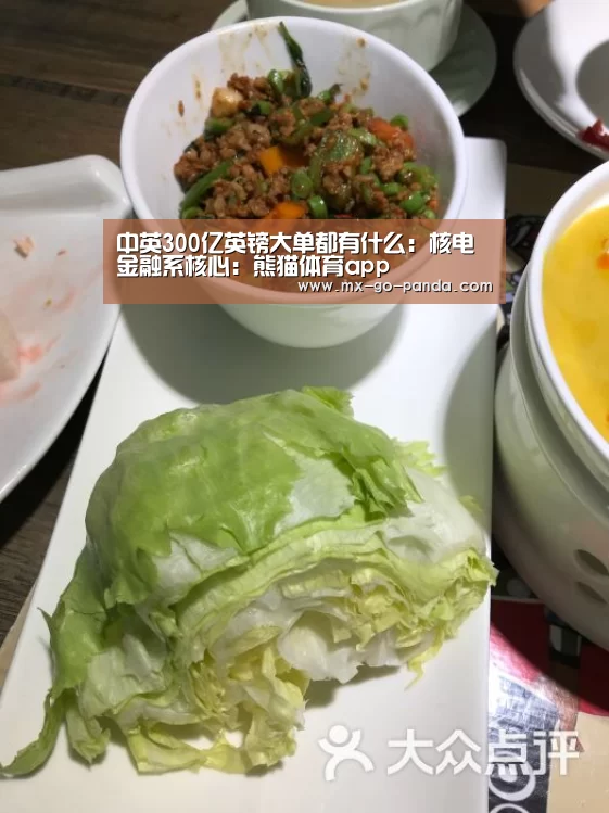 中英300亿英镑大单都有什么：核电金融系核心：熊猫体育app