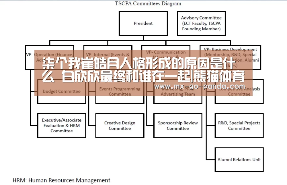 柒个我崔皓月人格形成的原因是什么 白欣欣最终和谁在一起|熊猫体育