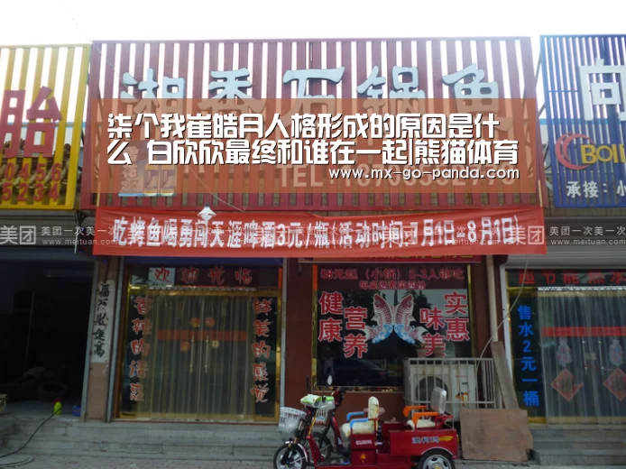 柒个我崔皓月人格形成的原因是什么 白欣欣最终和谁在一起|熊猫体育(图3) 熊猫体育app