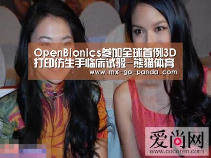 OpenBionics参加全球首例3D打印仿生手临床试验-熊猫体育内容