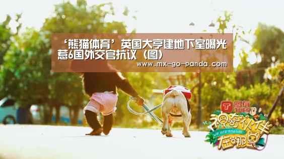 熊猫体育