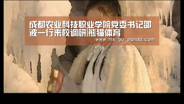 熊猫体育官网