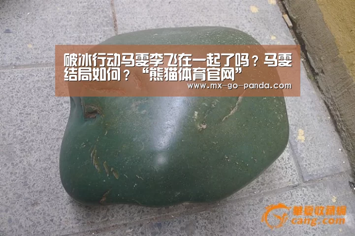 熊猫体育官网