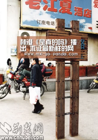 林澄《是真的吗》播出 求证最新鲜的网络传闻【熊猫体育内容】(图3) 熊猫体育app